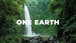 Live From Earth