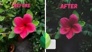 How to edit moody photos malayalam | snapseed editing tutorial malayalam