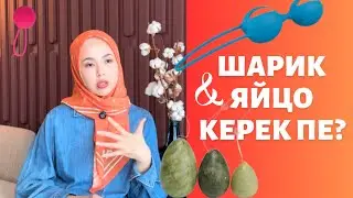 Шарик, яйцо керек пе?