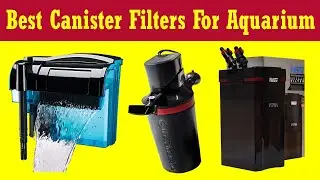 Top 5 Best Canister Filters For Aquarium 2021