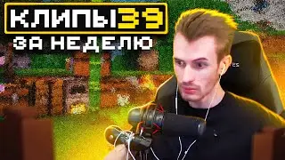 МайнШилд 4 | Клипы за неделю | Часть 39