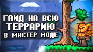 Худший гайд на террарию что вы могли бы увидеть.