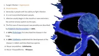 Black fungus | Mucormycosis | Symptoms | Black fungus vs Covid-19 | Bio science