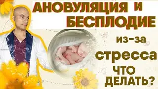 Ановуляция и бесплодие.  Психосоматика и стресс.  Как возродить яичники.