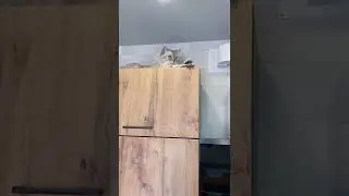 Ну нет такого,кто выше тот и главный.