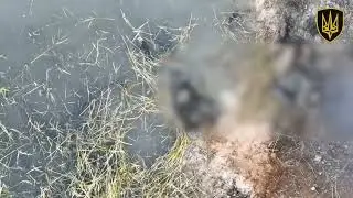 WARNING 18+ | Ukraine war: Ukrainian drones attacking Russian occupiers.