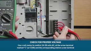 Pro-C® No Zones Running