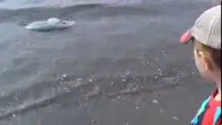 20131006125334
