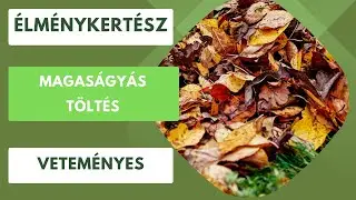 Magaságyás töltése zöldhulladékkal🍂🍃