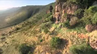 Beautiful World - Africa