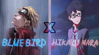 Naruto _ Blue Bird Op x Your Lie in April _ Hikaru Nara [ mashup lyrics ]