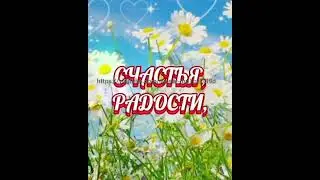 с днем России друзья мои ❤