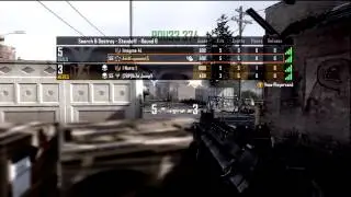 yolo