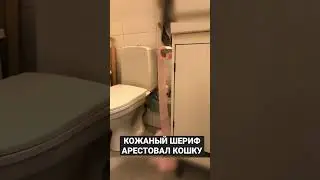 ПОМУТНЕНИЕ РАССУДКА 2•НАКИПЕЛО•ЖЕРСТЬ БУДЕТ НАКАЗАНА