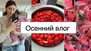 VLOG МОЯ РЕАЛЬНАЯ ЖИЗНЬ  ЧИЗКЕЙК ВОССТАНОВЛЕНИЕ