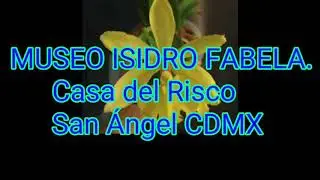 Exposición de orquídeas en primavera 2019.