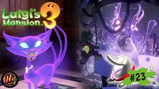 Diese wilde Katze | Luigis Mansion 3 | LET'S PLAY #23