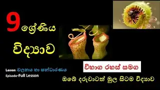 Grade 9 Science lesson Episode 01 ජීවීන්ගේ සන්ධාරණය හා චලනය Science Channel Bro