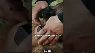 Как поживаете пиdopы, совесть не мучает? 