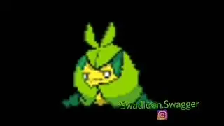 Swadloon Dance