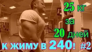К ЖИМУ В 240 #2!!!25 кг ЗА 20 ДНЕЙ!ПРОДОЛЖАЕТСЯ 1 ЭТАП!