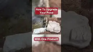 How An Aquascape Pond Skimmer Filter Works - EASY POND UPGRADE!