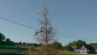Новогодняя елочка в июле