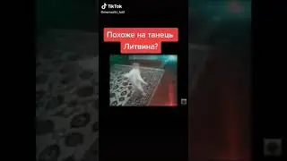 похоже на танец литвина?