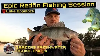 Epic Redfin Fishing Victoria - Lake Eppalock