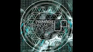Primarie - Din Temelie (Original Mix)