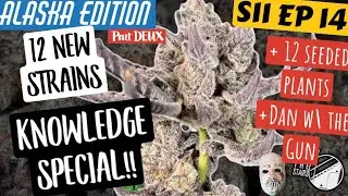 S11 EP14:  season finale - 12 new crosses - breeding and Dan w/ the Blikky!  SPIDER FARMER