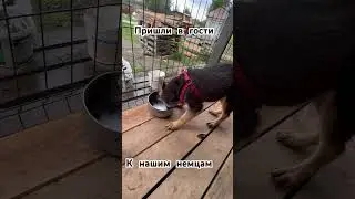 Пришли в гости ,а нас не ждали #мамаособенногоребенка #худеемвместе