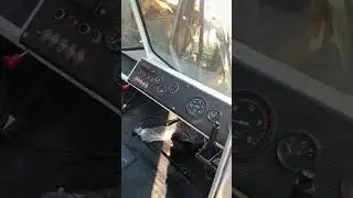 Красивая кабина трактор Т-150 89003197768