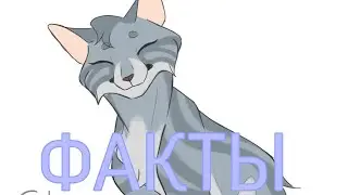 Факты об Эхо|«Коты-Воители»
