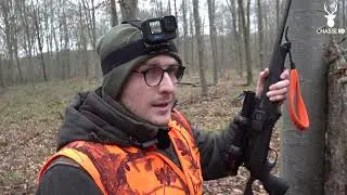 CHASSE AUX SANGLIERS EN BATTUE : KEILER & BÊTE ROUSSE !
