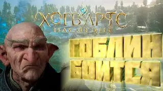 ОСОБО ОДАРЕННЫЙ ВОЛШЕБНИК \ Hogwarts Legacy#4