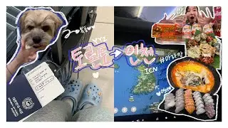 #21 캐나다➡️대한민국! 14시간 비행 VLOG🇰🇷✈️ l 가족들만나기, 복돌이, 친구들만나기, 마라탕, 연어, 고기 l 동고
