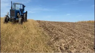 Оранка під озиму пшеницю мтз80