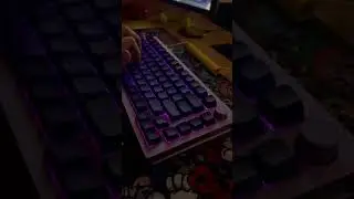 Monsgeek m1 / lavender purple switches  / pbt keycaps neon mda