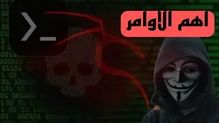 اخيرا شرح اهم أوامر Terminal في Kali و Termux