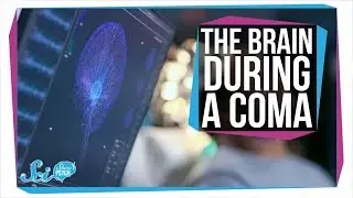 What Happens in the Brain During a Coma?