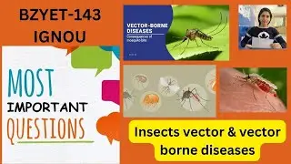 BZYET-143# Insect vector and vector borne diseases 🐝🐝🦋🦋