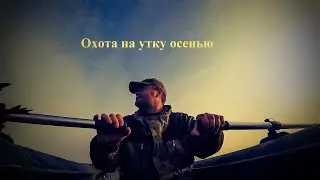 Осенняя охота на утку//Duck hunting in autumn.