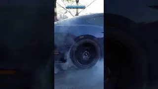 LOUD 6th-gen Mustang w/ Headers+Tune BURNOUT & SOUND!! #musclecars #burnout #jamboolio #v8power