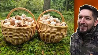 MOJE najlepsze GRZYBOBRANIE w ŻYCIU! PEŁNE KOSZE GRZYBÓW!