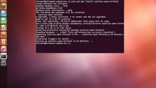 How to: Enable Open Terminal on Desktop in Ubuntu 12.04