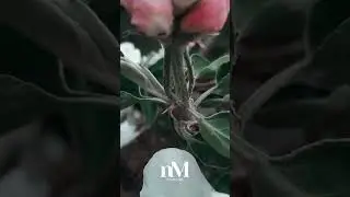 ЗМІНИ В ЖИТТІ Молитва перед сном  