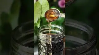 Dandelion Monograph + Caffeine-Free Iced Latte Recipe