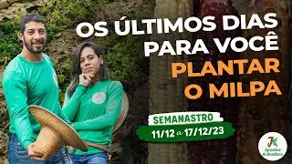 ATENÇÃO! ÚLTIMOS DIAS PARA O PLANTIO DO MILPA - SEMANASTRO - 11 A 17/12