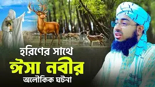 হরিণের সাথে ঈসা নবীর অলৌকিক ঘটনা | mufti jahirul islam faridi waz